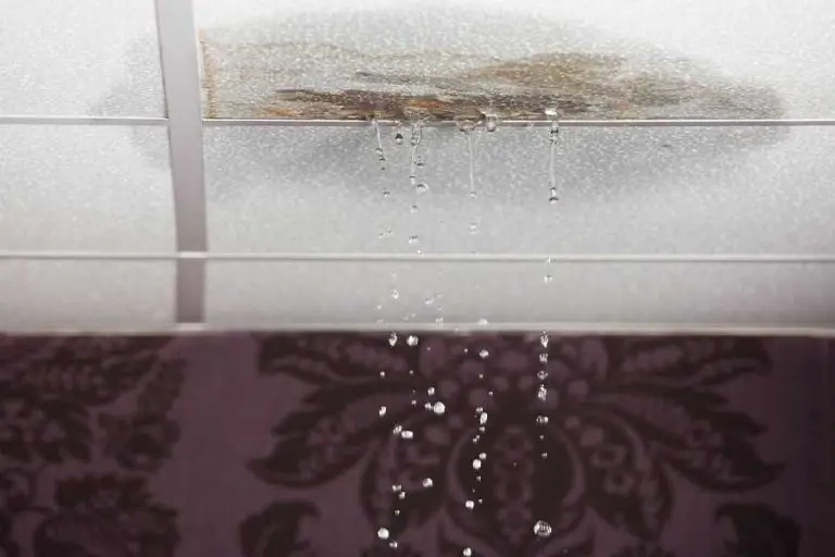 Top Pipe Leak Detection Services You Can Trust in Marysville, BC